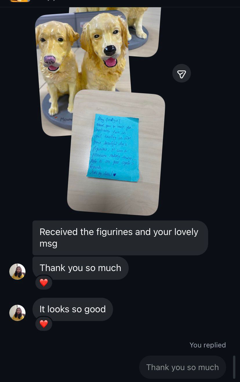 Sandhya customer review photo